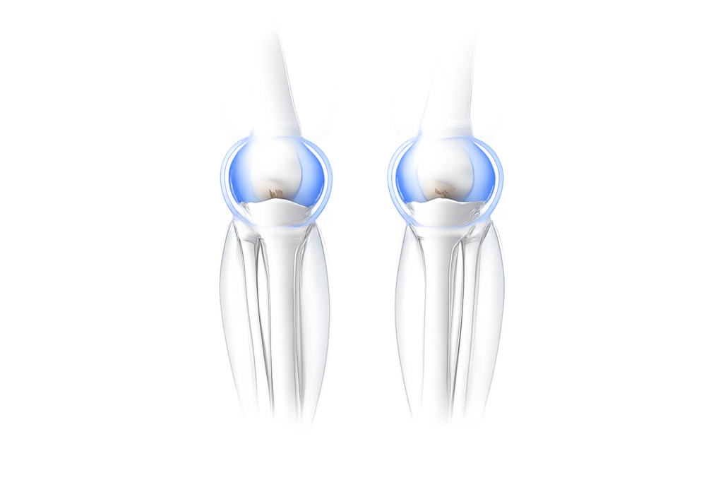 ChatGPT Image Jan 1, 2026 at 03_37_07 PM 1