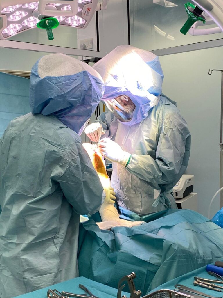 WhatsApp Image 2026-02-25 at 19.26.08